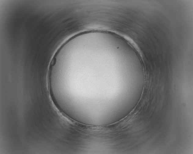 X0000073991295200609181733