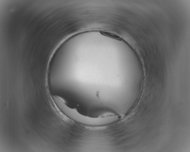 X0000073991296200609181732