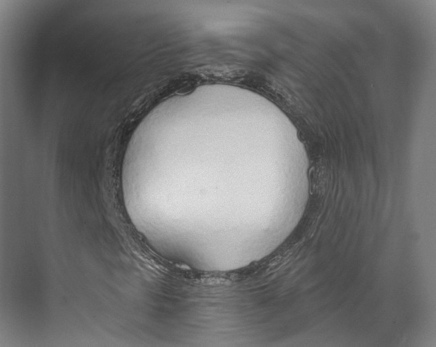 X0000073991297200609181732