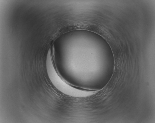 X0000073991298200609181732