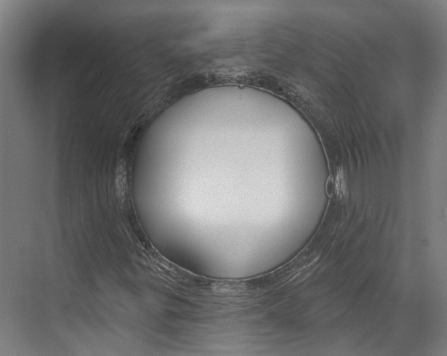 X0000073991299200609181732