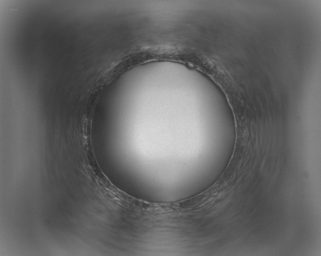 X0000073991301200609181732