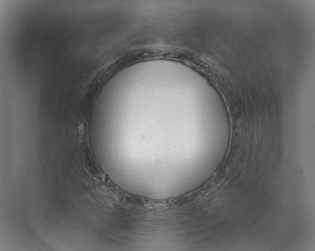 X0000073991302200609181732