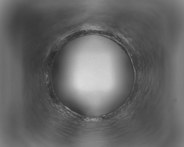 X0000073991303200609181732