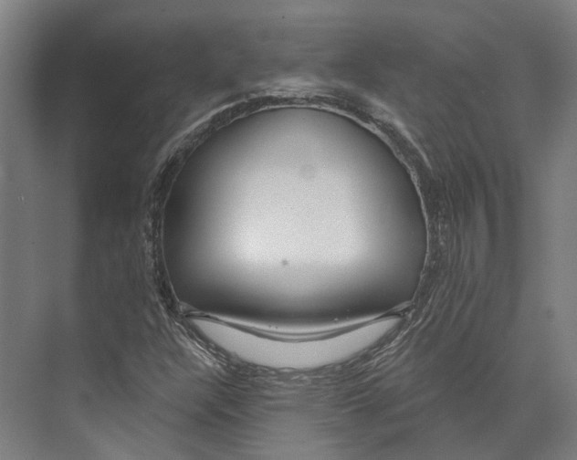 X0000073991304200609181732