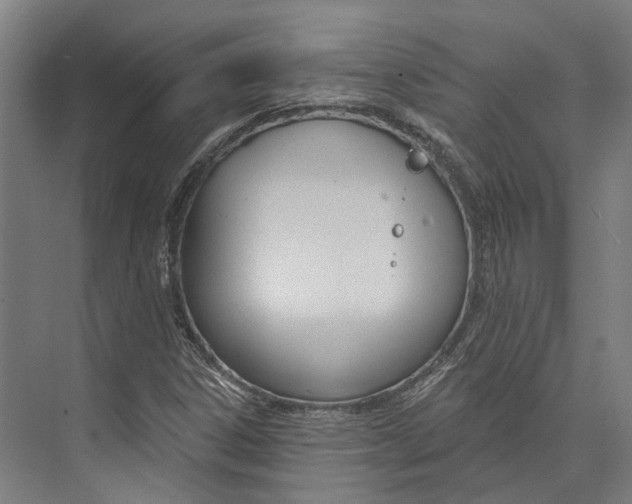 X0000073991306200609181732