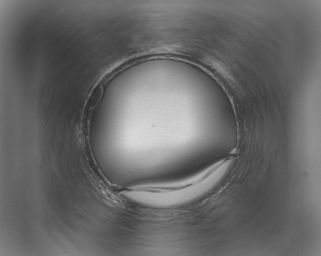 X0000073991308200609181732