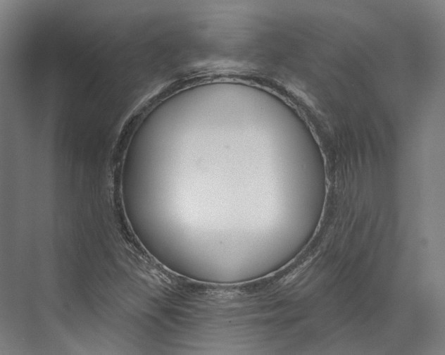 X0000073991309200609181732