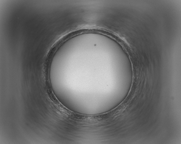 X0000073991311200609181732