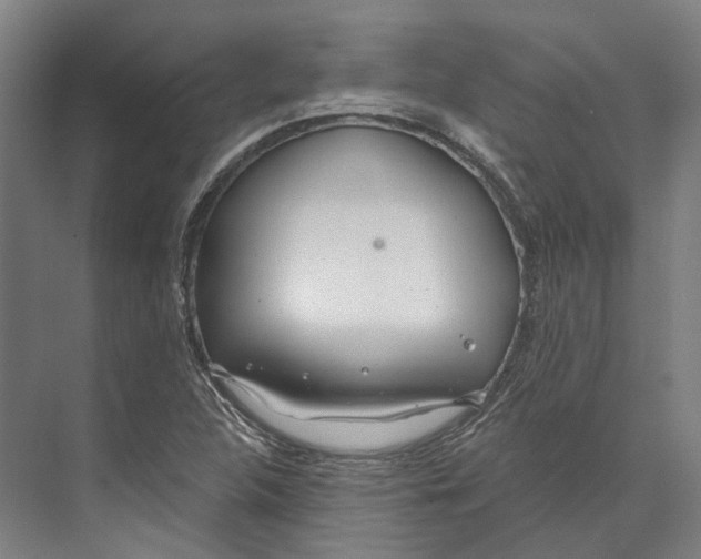 X0000073991312200609181732