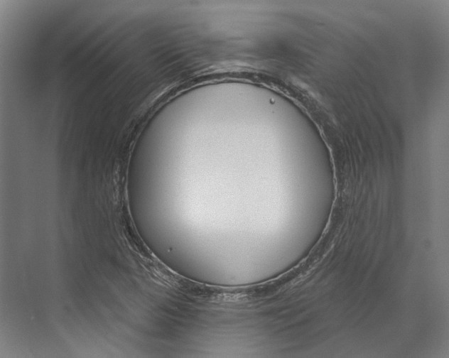 X0000073991313200609181732