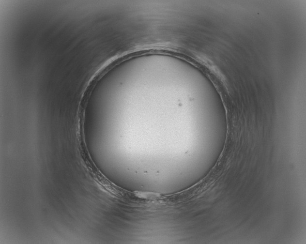 X0000073991316200609181732