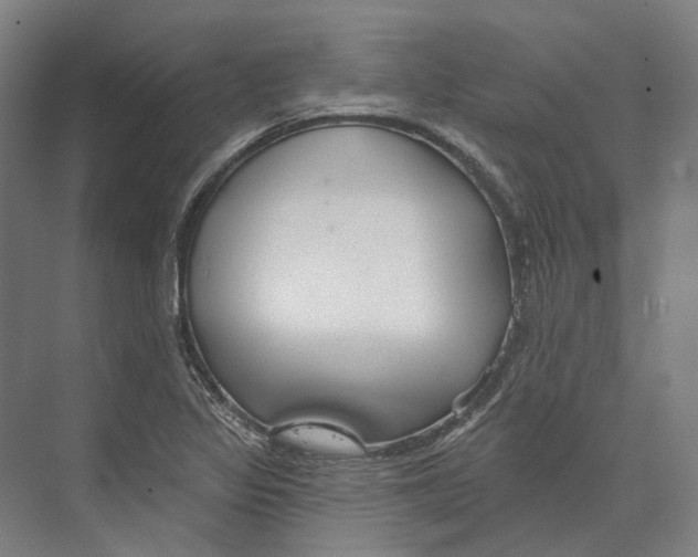 X0000073991317200609181732