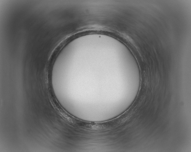 X0000073991318200609181732