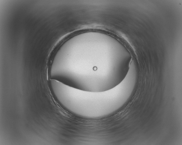 X0000073991320200609181732