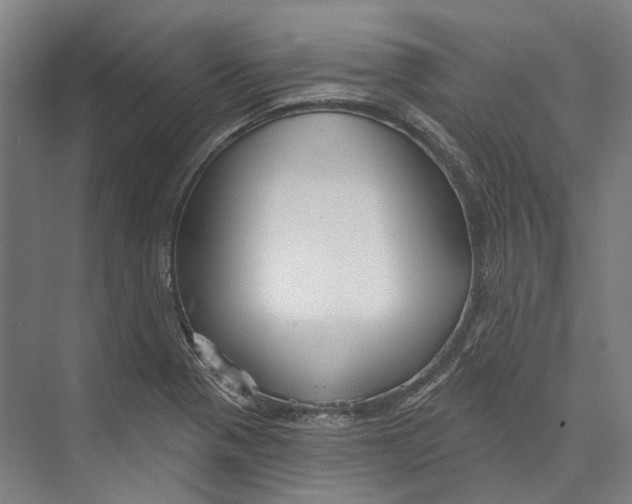 X0000073991321200609181732