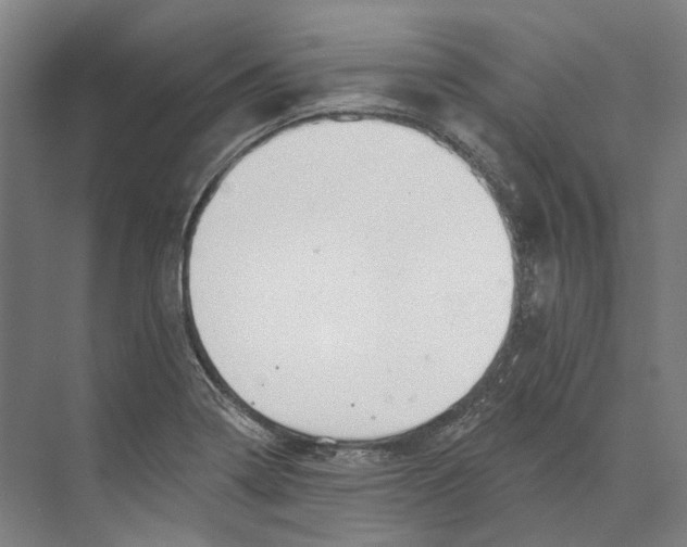 X0000073991322200609181732