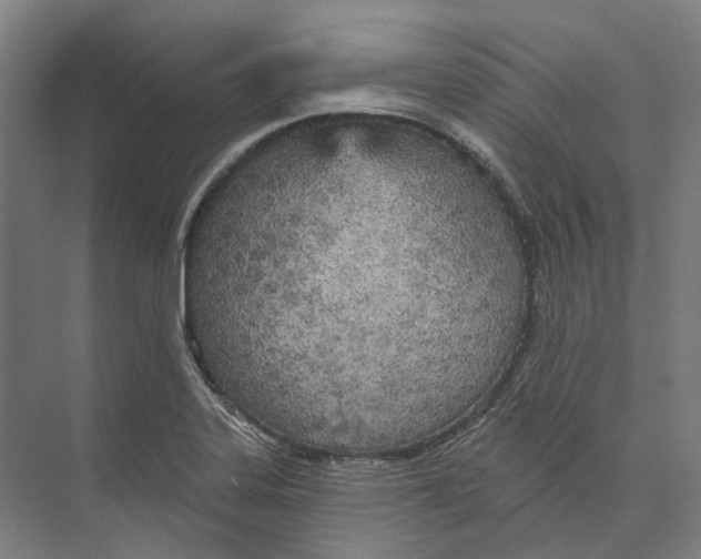 X0000073991323200609181732