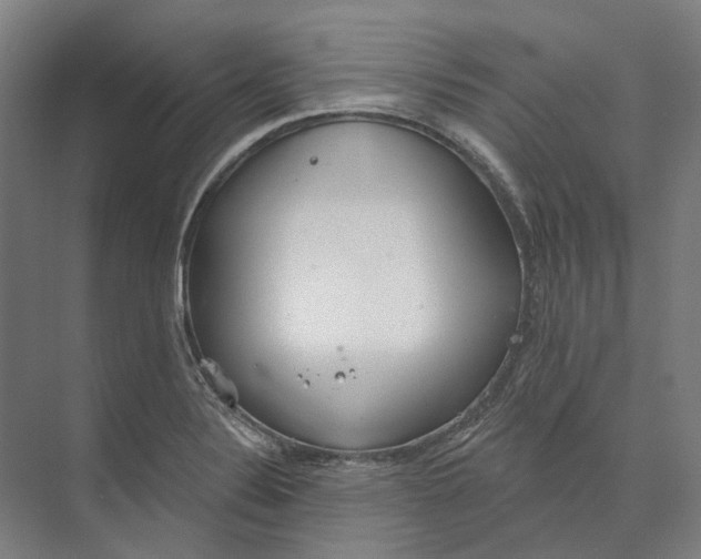 X0000073991324200609181732