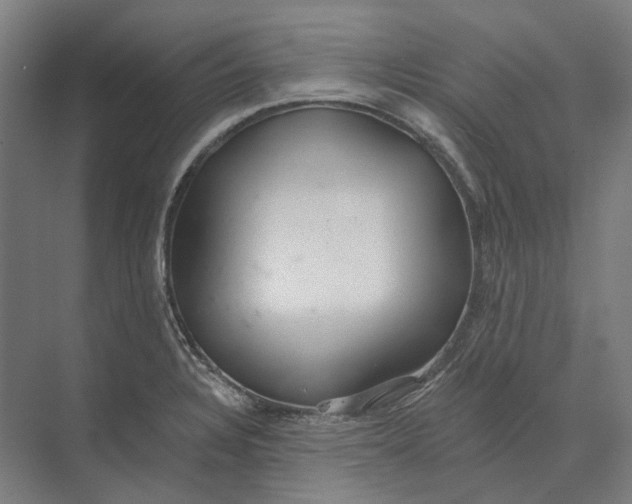 X0000073991328200609181732