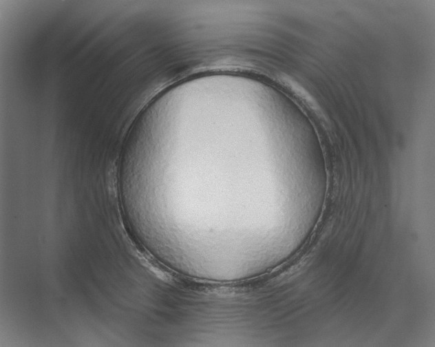 X0000073991329200609181732