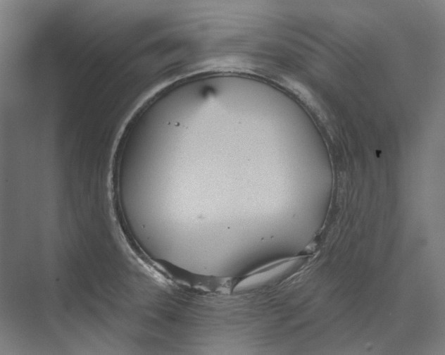 X0000073991331200609181732