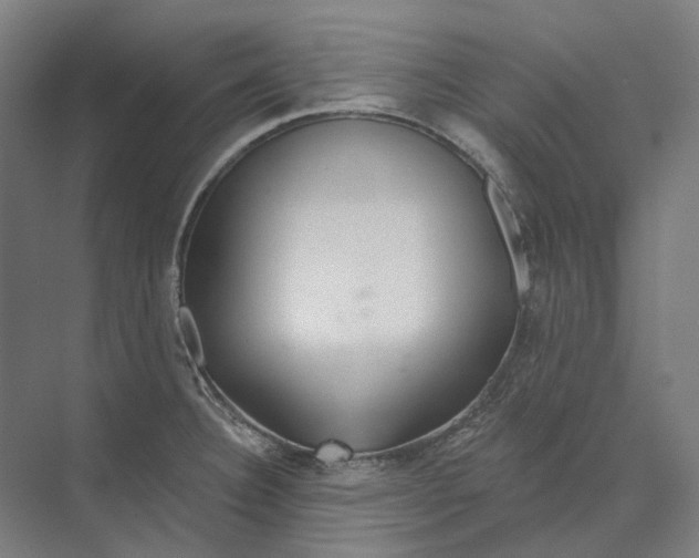 X0000073991332200609181732