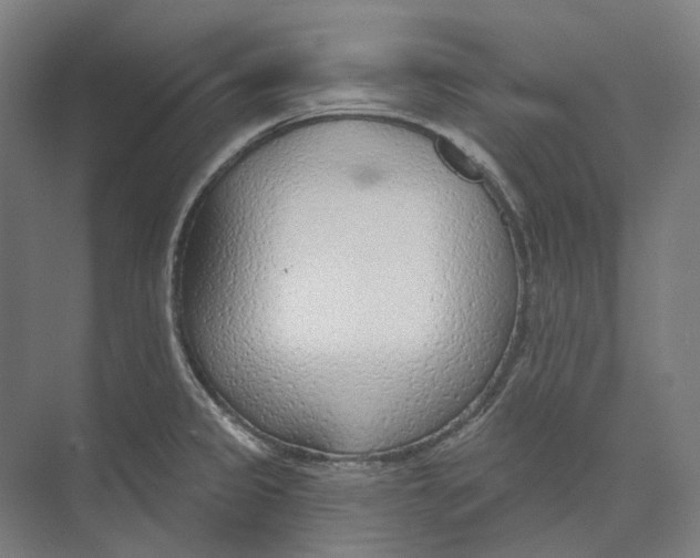 X0000073991333200609181732