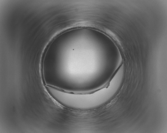 X0000073991334200609181732