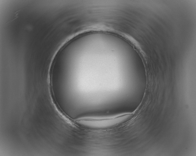 X0000073991335200609181732