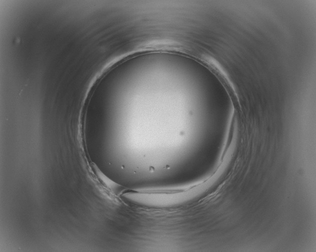 X0000073991336200609181732