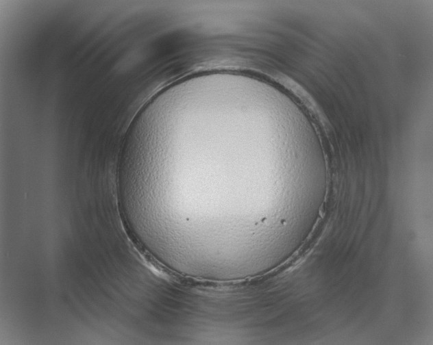 X0000073991337200609181732