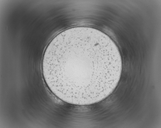 X0000073991338200609181732