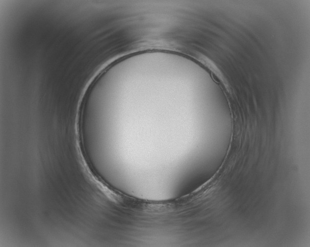 X0000073991339200609181732