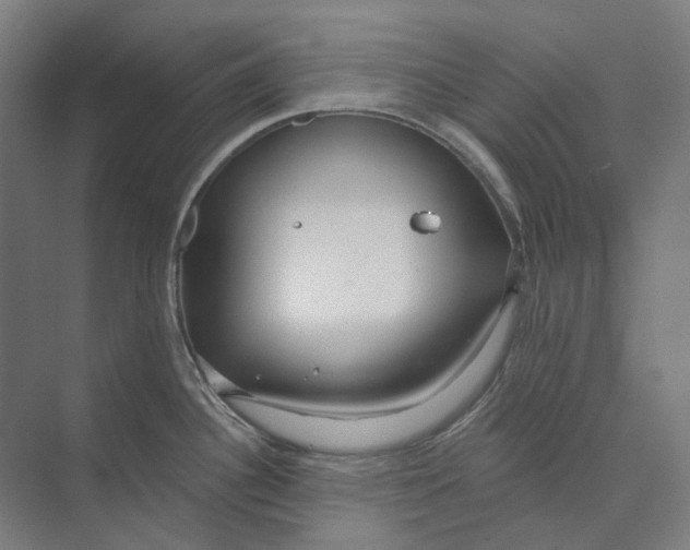 X0000073991340200609181732