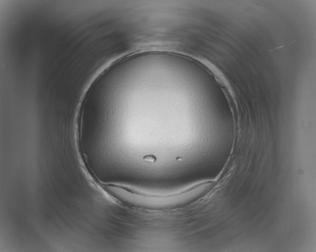 X0000073991341200609181732