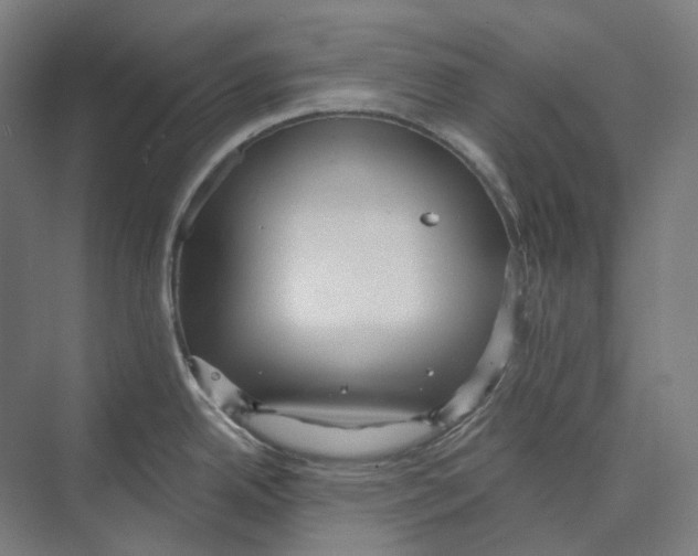 X0000073991342200609181732