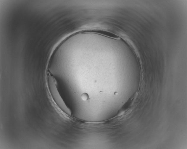 X0000073991344200609181732