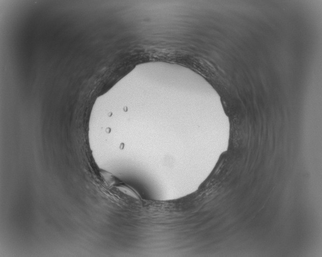 X0000073991345200609181732