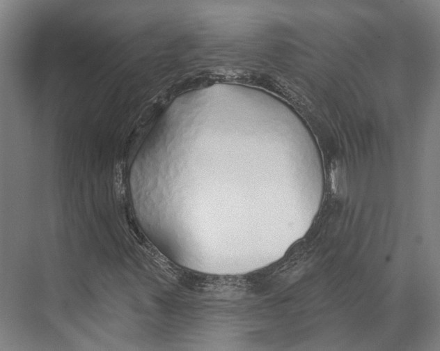 X0000073991347200609181732