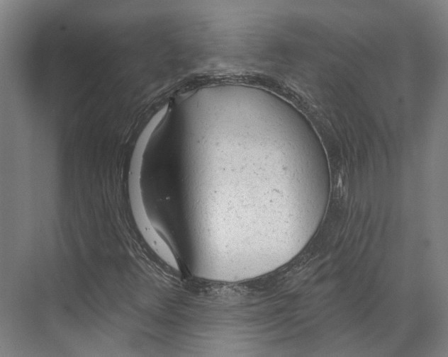 X0000073991348200609181732