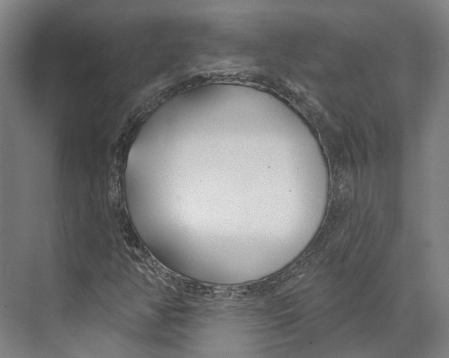 X0000073991350200609181732