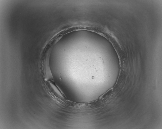 X0000073991352200609181732