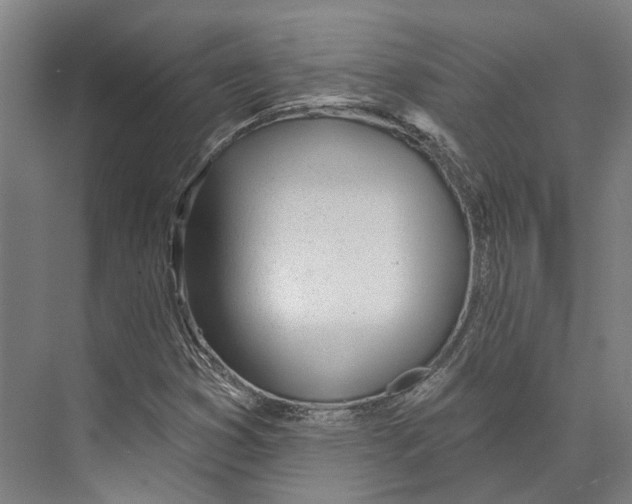 X0000073991353200609181732