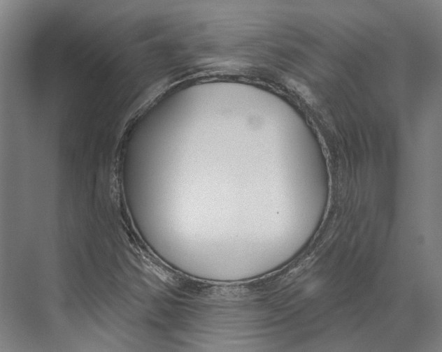 X0000073991354200609181732