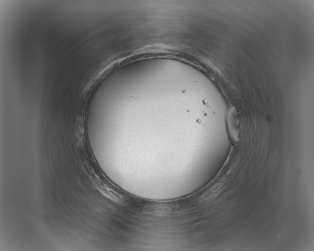 X0000073991355200609181731