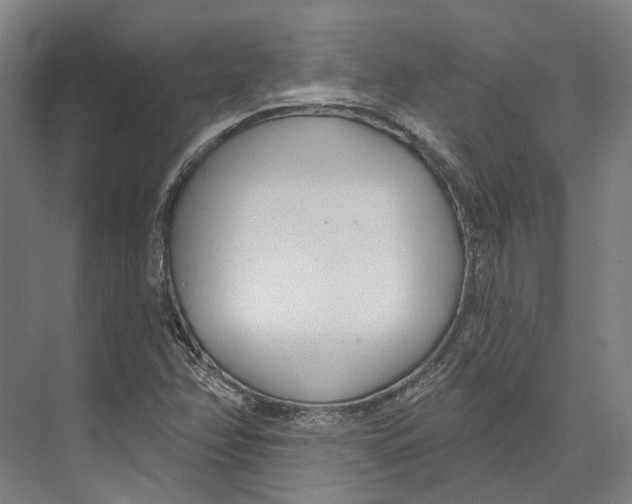 X0000073991358200609181731