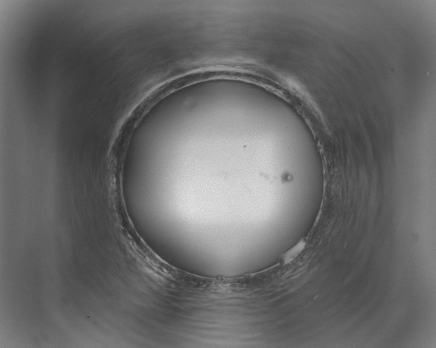 X0000073991360200609181731