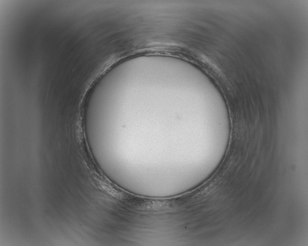 X0000073991362200609181731