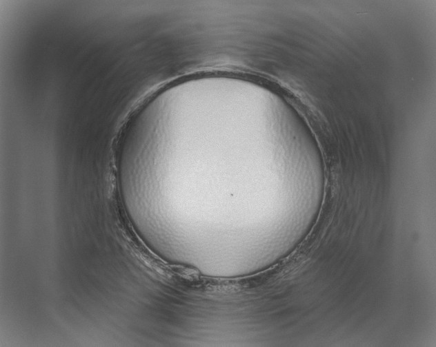 X0000073991363200609181731